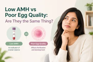 Low AMH vs Poor Egg Quality: Are They the Same Thing?